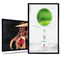 55 inch window android media player  Digital Signage and Displays for supermarket advertising supplier